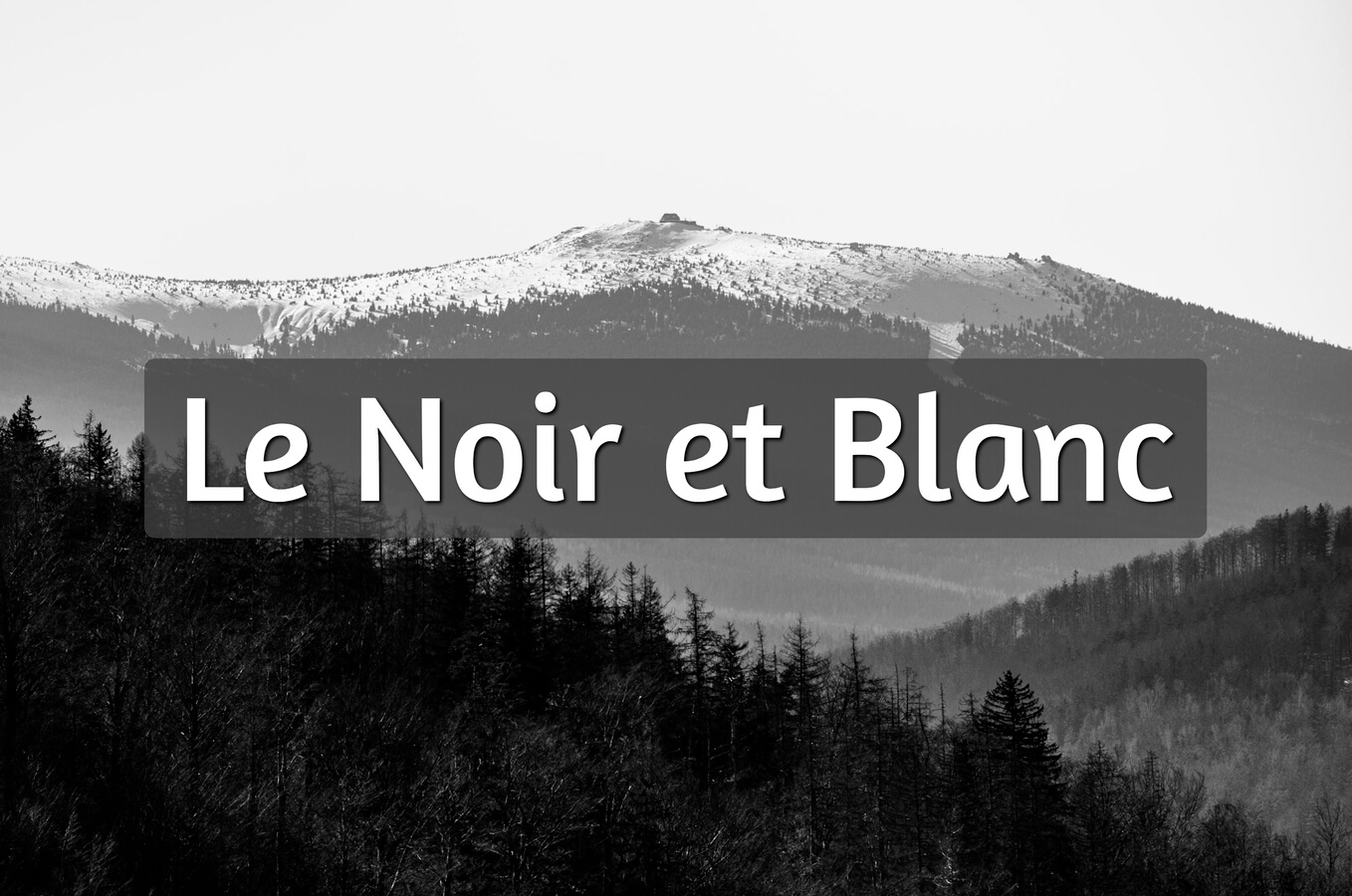 L'arbre d'hiver en 4 techniques | S'éveiller Naturellement, image size:1358x900